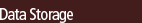 Data Storage