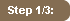 step 1/3