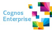 IBM Cognos Business Intelligence