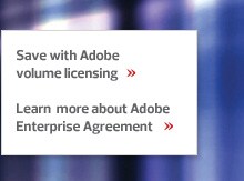 Adobe Volume Licensing