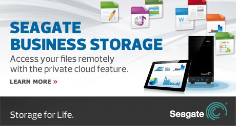 Seagate Business Storage
