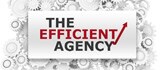 Efficient Agency