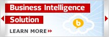 Business Intelligence Solution