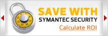 Syamntec ROI Calculator