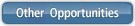 Other Opportunities